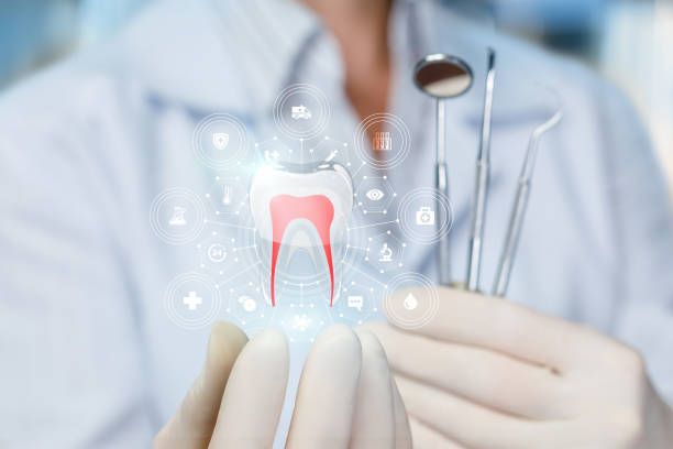 Best Dental Fillings (Composite and Amalgam)  in Osprey, FL